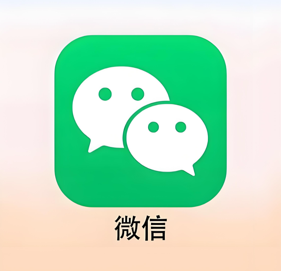 MP投票